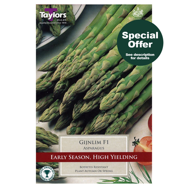 Taylors Bulbs - Asparagus Gijnlim F1 Hybrid x 2 Bulbs - DeWaldens Garden Centre