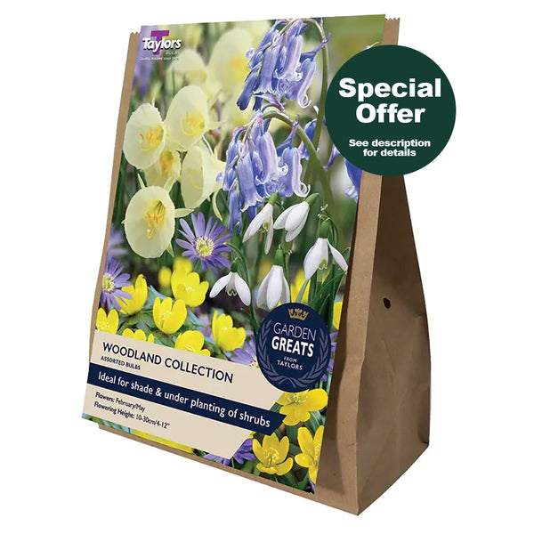 Taylors Bulbs - Woodland Collection x 40pp - DeWaldens Garden Centre