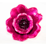 Tilnar Art Pink Poppy - DeWaldens Garden Centre