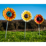 Tilnar Art Gold & Red Sunflower - DeWaldens Garden Centre