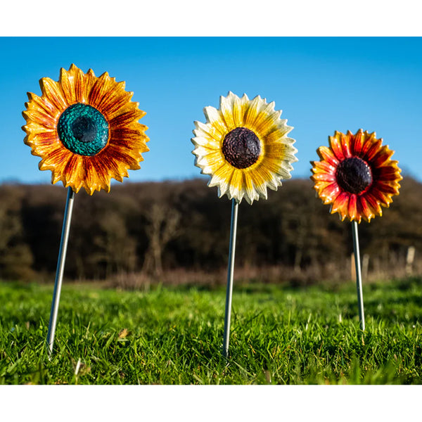 Tilnar Art Gold & Red Sunflower - DeWaldens Garden Centre
