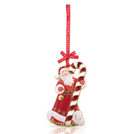 Tipperary Sparkle Decoration - Santa & Candy Cane - DeWaldens Garden Centre