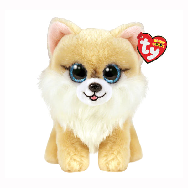 Ty Beanie Boo - Honeycomb Corgi - DeWaldens Garden Centre