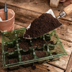 Westland Seed & Cutting Compost 10ltr - DeWaldens Garden Centre