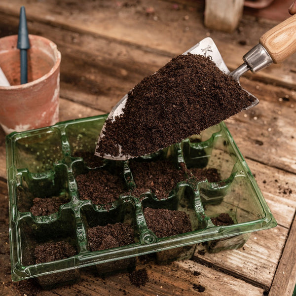 Westland Seed & Cutting Compost 10ltr - DeWaldens Garden Centre