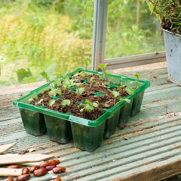 Gro-Sure Visiroot Cell Tray - DeWaldens Garden Centre