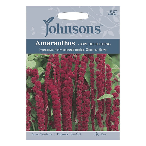 Johnsons Amaranthus - Love Lies Bleeding Seeds - DeWaldens Garden Centre