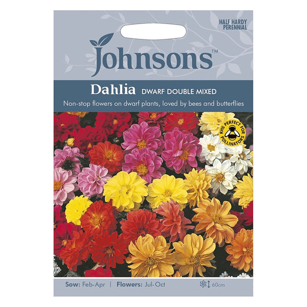 Johnsons Dahlia Dwarf Double Mixed Seeds - DeWaldens Garden Centre
