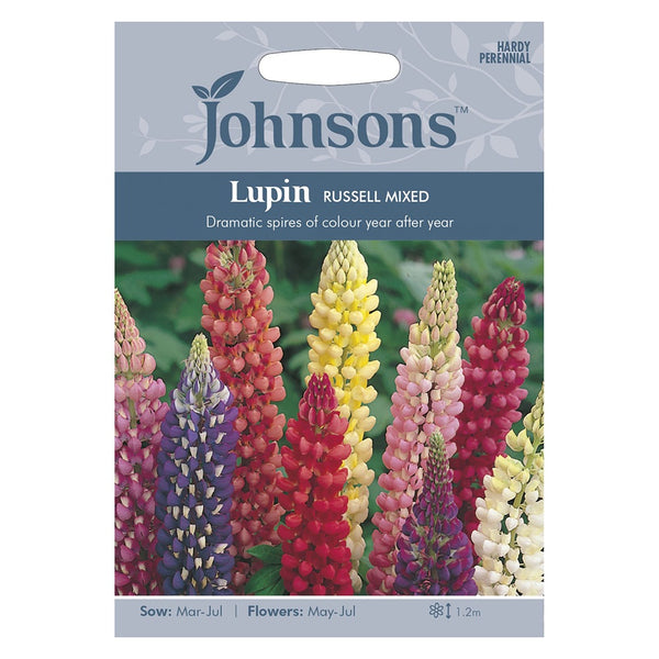 Johnsons Lupin Russell Mixed Seeds - DeWaldens Garden Centre
