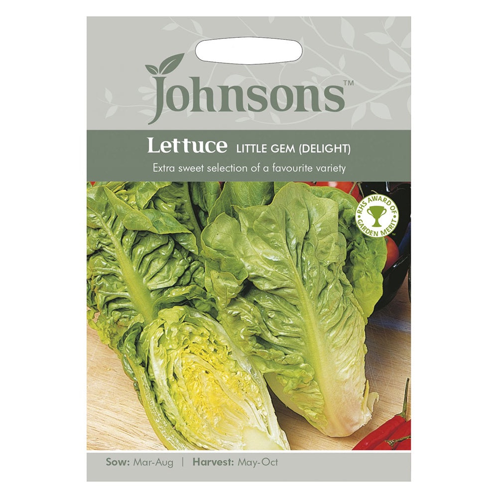 Johnsons Lettuce Little Gem (Delight) Seeds DeWaldens Garden Centre
