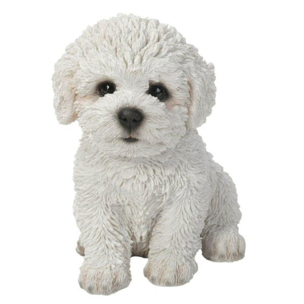 Vivid Arts Bichon Frise Puppy Pet Pals - DeWaldens Garden Centre