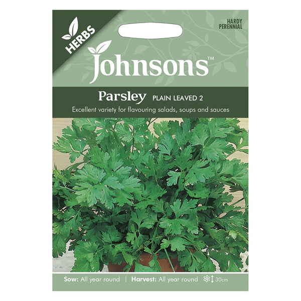 Johnsons Parsley Plain Leaved 2 Seeds - DeWaldens Garden Centre