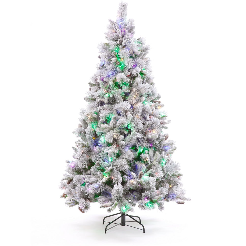 Winnipeg PreLit Fir Tree Christmas DeWaldens Garden Centre