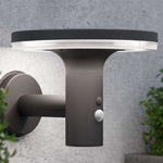 Blulite Solar Motion Bluetooth Speaker Light - DeWaldens Garden Centre