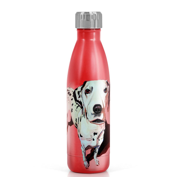 Eoin O’Connor Mutz Metal Water Bottle 500ml - DeWaldens Garden Centre