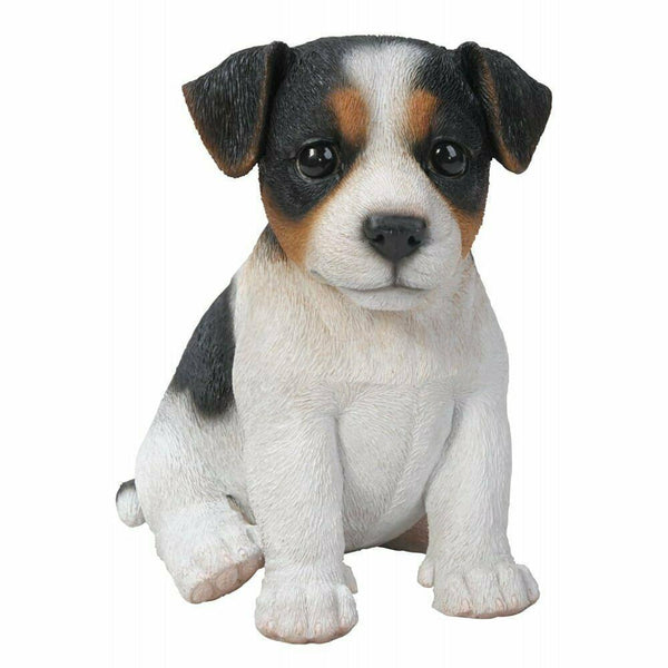 Vivid Arts Jack Russell Tri-Colour Puppy Pet Pals - DeWaldens Garden Centre