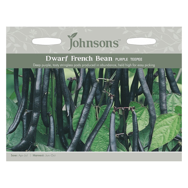 Johnsons Dwarf French Bean Purple Teepee Seeds - DeWaldens Garden Centre