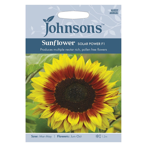 Johnsons Sunflower Solar Power F1 Seeds - DeWaldens Garden Centre