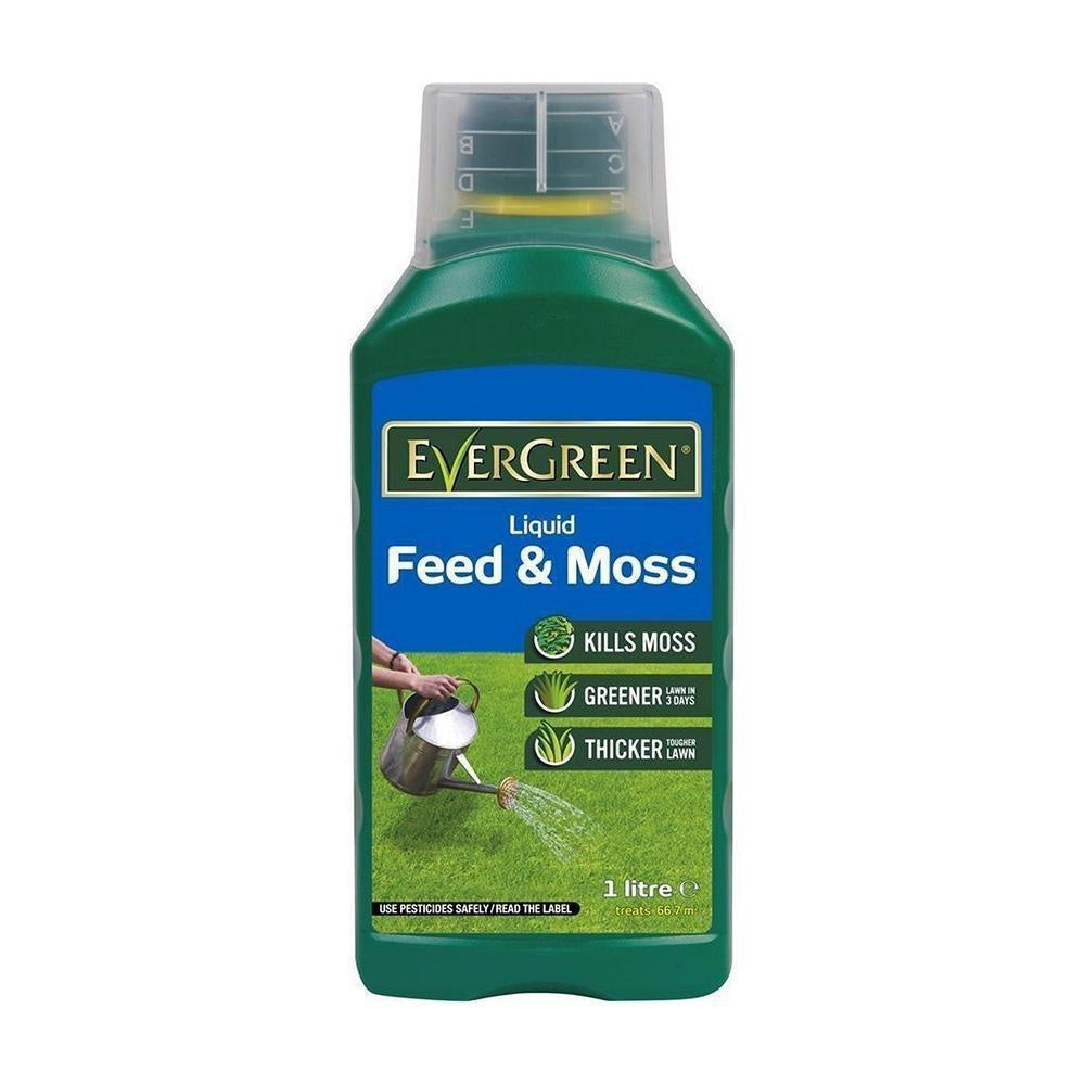 Miracle Gro Evergreen Liquid Feed & Moss 1ltr DeWaldens Garden Centre