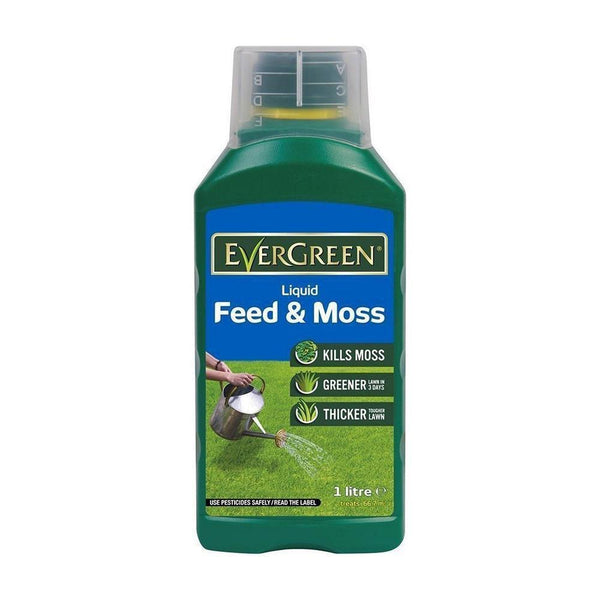 Evergreen Liquid Feed & Moss 1L - DeWaldens Garden Centre