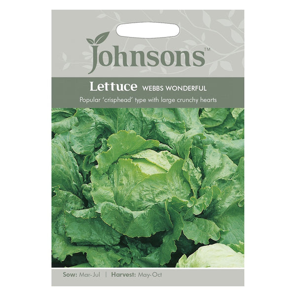 Johnsons Lettuce Webbs Wonderful Seeds - DeWaldens Garden Centre