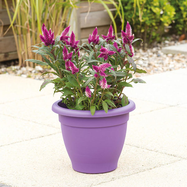 Stewarts Essentials Planter - DeWaldens Garden Centre