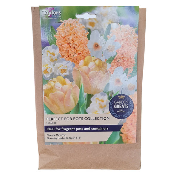 Taylors Bulbs - Perfect for Pots Collection - DeWaldens Garden Centre