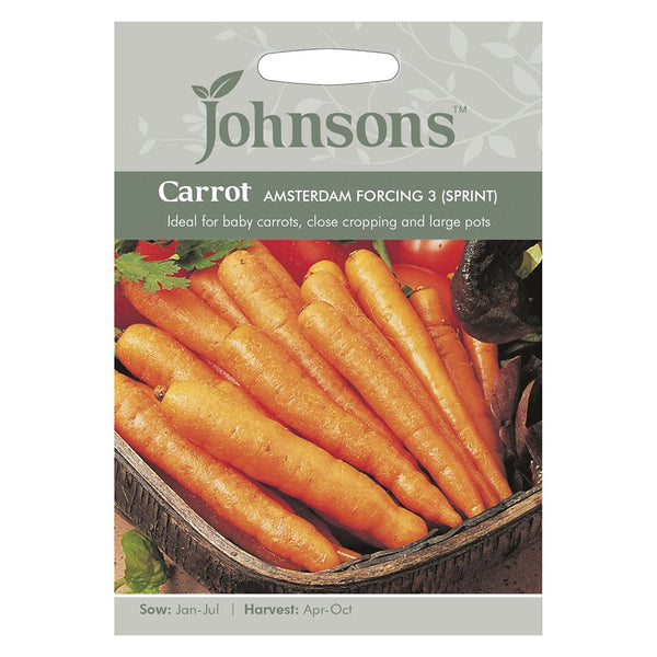Johnsons Carrot Amsterdam Forcing 3 (Sprint) Seeds - DeWaldens Garden Centre