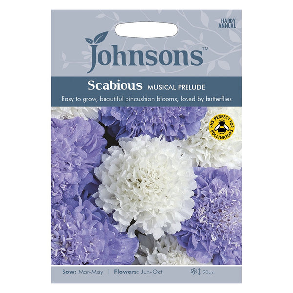 Johnsons Scabious Musical Prelude Seeds - DeWaldens Garden Centre
