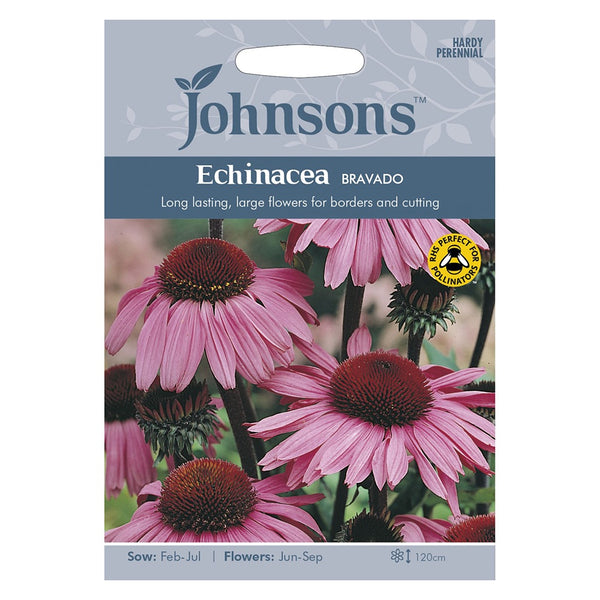 Johnsons Echinacea Bravado Seeds - DeWaldens Garden Centre