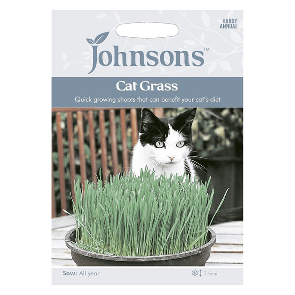 Johnsons Cat Grass Seeds - DeWaldens Garden Centre