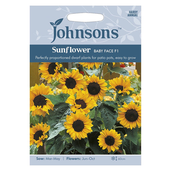 Johnsons Sunflower Baby Face F1 Seeds - DeWaldens Garden Centre