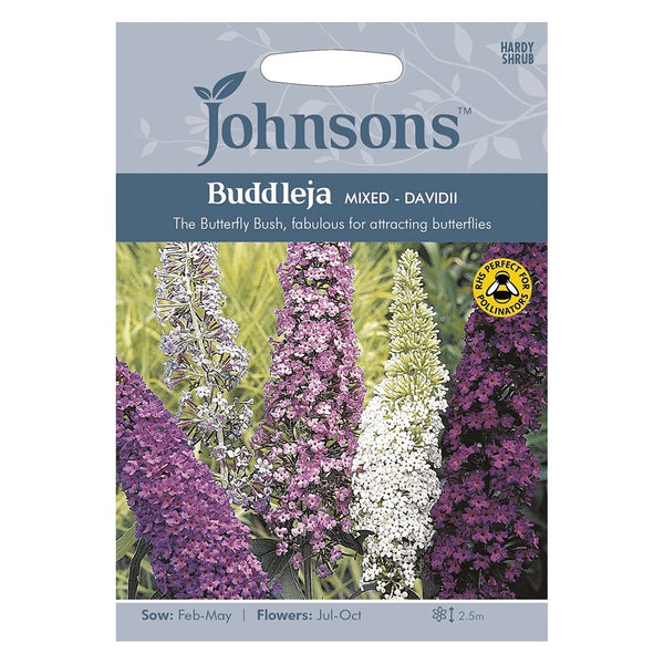 Johnsons Buddleja Davidii Mixed Seeds | The Butterfly Bush | DeWaldens Garden Centre