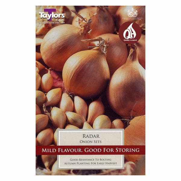 Taylors Bulbs - Radar Onion Set x 50 - DeWaldens Garden Centre