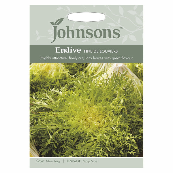 Johnsons Endive Fine De Louviers Seeds - DeWaldens Garden Centre