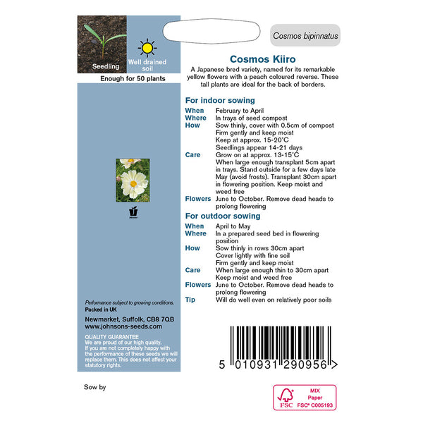 Johnsons Cosmos Kiiro Seeds - DeWaldens Garden Centre