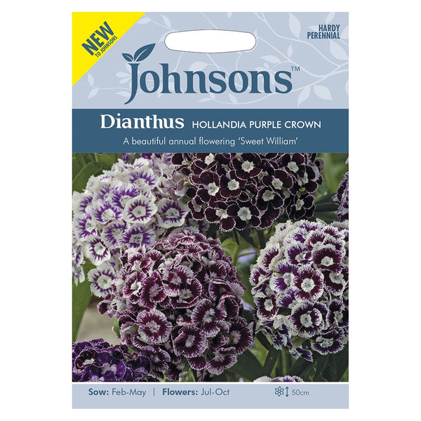 Johnsons Dianthus Hollandia Purple Crown Seeds - DeWaldens Garden Centre
