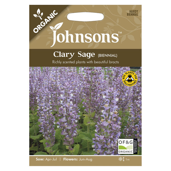 Johnsons Organic Clary Sage (Biennial) Seeds - DeWaldens Garden Centre