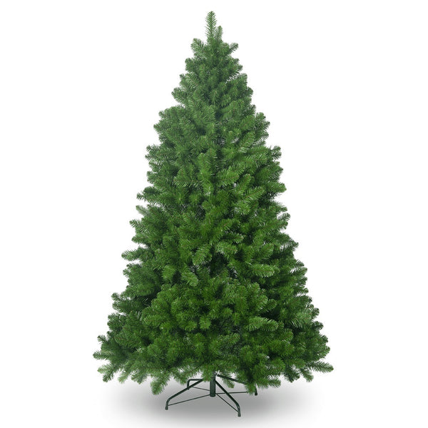 Snowtime Carson Spruce Christmas Tree - DeWaldens Garden Centre