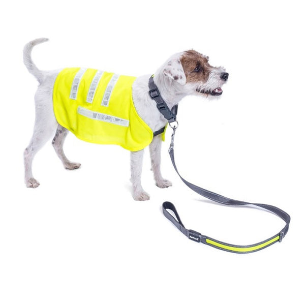 Petface Reflective Dog Coat - DeWaldens Garden Centre
