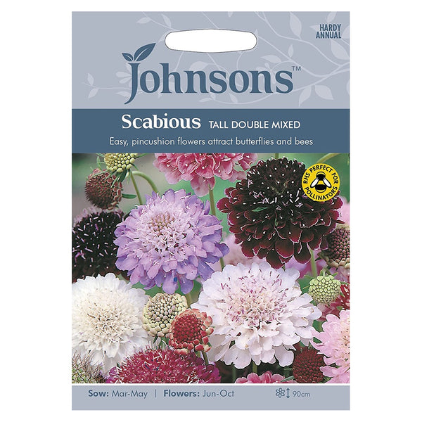 Johnsons Scabious Tall Double Mixed Seeds - DeWaldens Garden Centre