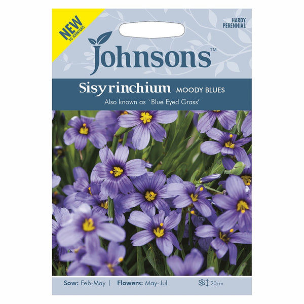 Johnsons Sisyrinchium Moody Blues Seeds - DeWaldens Garden Centre