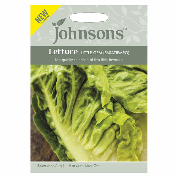 Johnsons Lettuce Little Gem (Pasatiempo) - DeWaldens Garden Centre