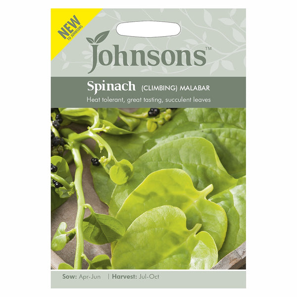 Johnsons Spinach (Climbing) Malabar Seeds - DeWaldens Garden Centre
