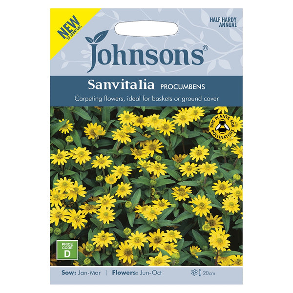Johnsons Sanvitalia Procumbens Seeds - DeWaldens Garden Centre