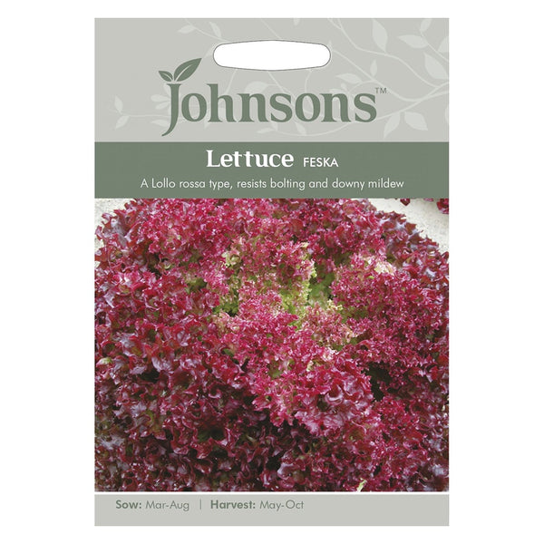 Johnsons Lettuce Feska Seeds - DeWaldens Garden Centre