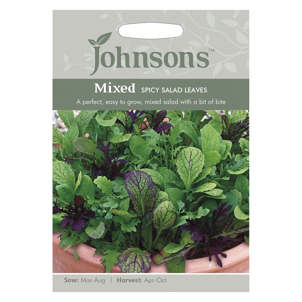 Johnsons Mixed Spicy Salad Leaves Seeds DeWaldens Garden Centre