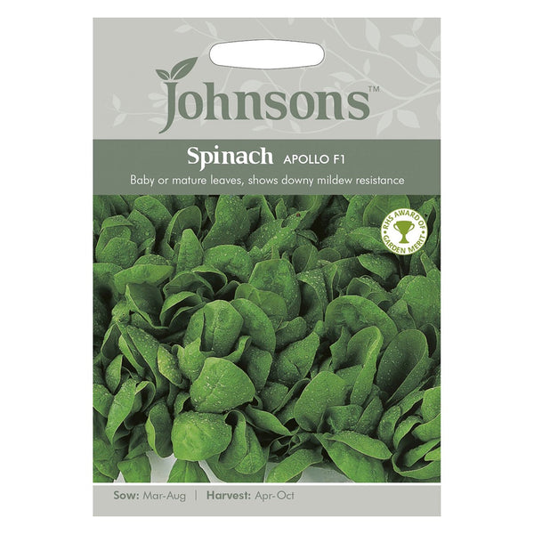Johnsons Spinach Apollo F1 Seeds - DeWaldens Garden Centre