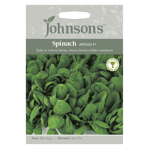 Johnsons Spinach Apollo F1 Seeds - DeWaldens Garden Centre