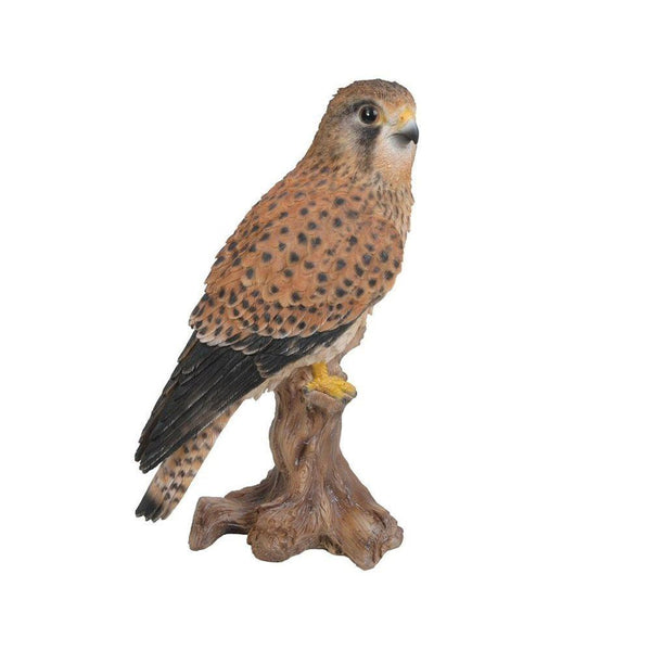 Vivid Arts Kestrel - DeWaldens Garden Centre